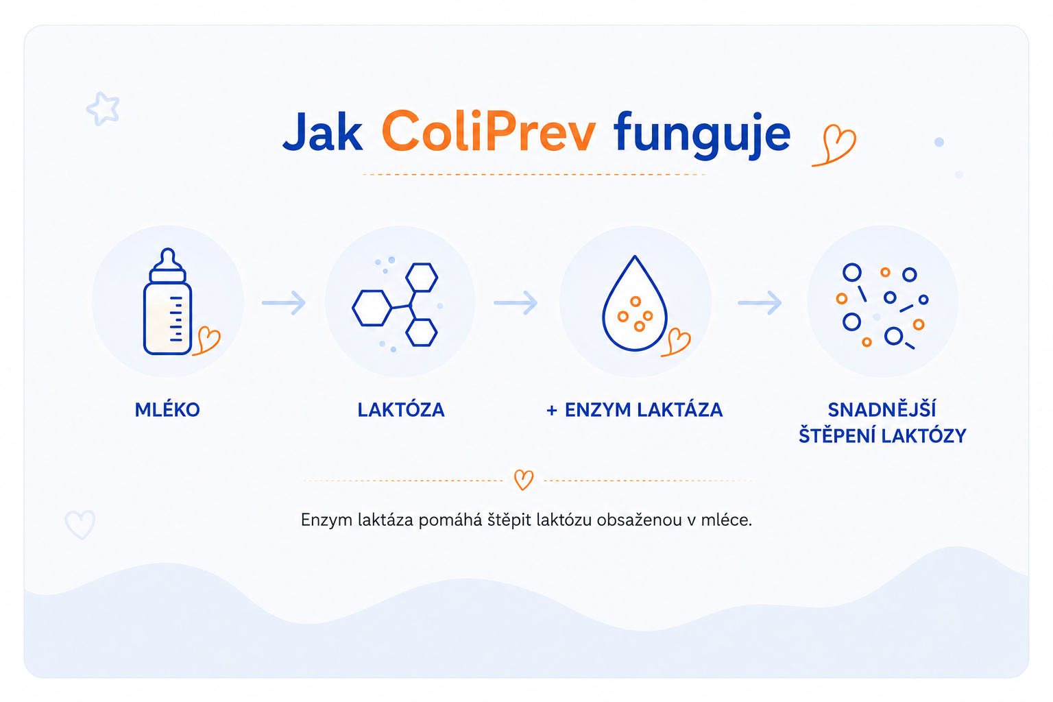 Jak ColiPrev funguje – enzym laktáza pomáhá štěpit laktózu
